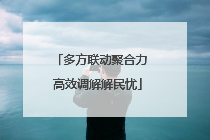 多方联动聚合力 高效调解解民忧